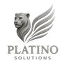 Platino Solutions